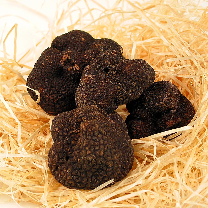 Winter-Edeltrüffel - tuber melanosporum, frisch, Frankreich, Nov./März, 1 Gramm